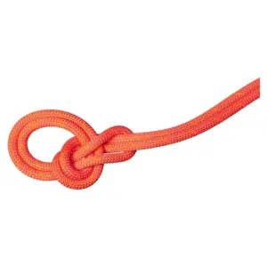 Mammut 9.8 Mm Crag Dry 60 M Touw Oranje
