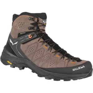 Salewa Alp 2 Gore-tex® Wandelschoenen Beige