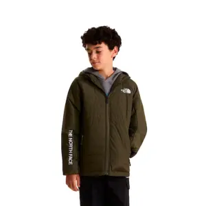The North Face Never Stop Synthetic Jas Groen