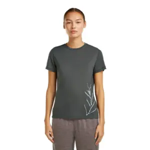 Icebreaker Merino Core Panax T-shirt Met Korte Mouwen Blauw