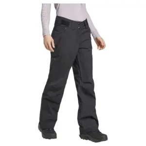 Adidas Terrex Xperior 2l Insulated Stretch Broek Zwart
