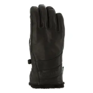 Salomon Native Gore-tex® Handschoenen Zwart