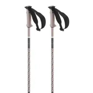 Salomon Polar Pro Stokken Goud