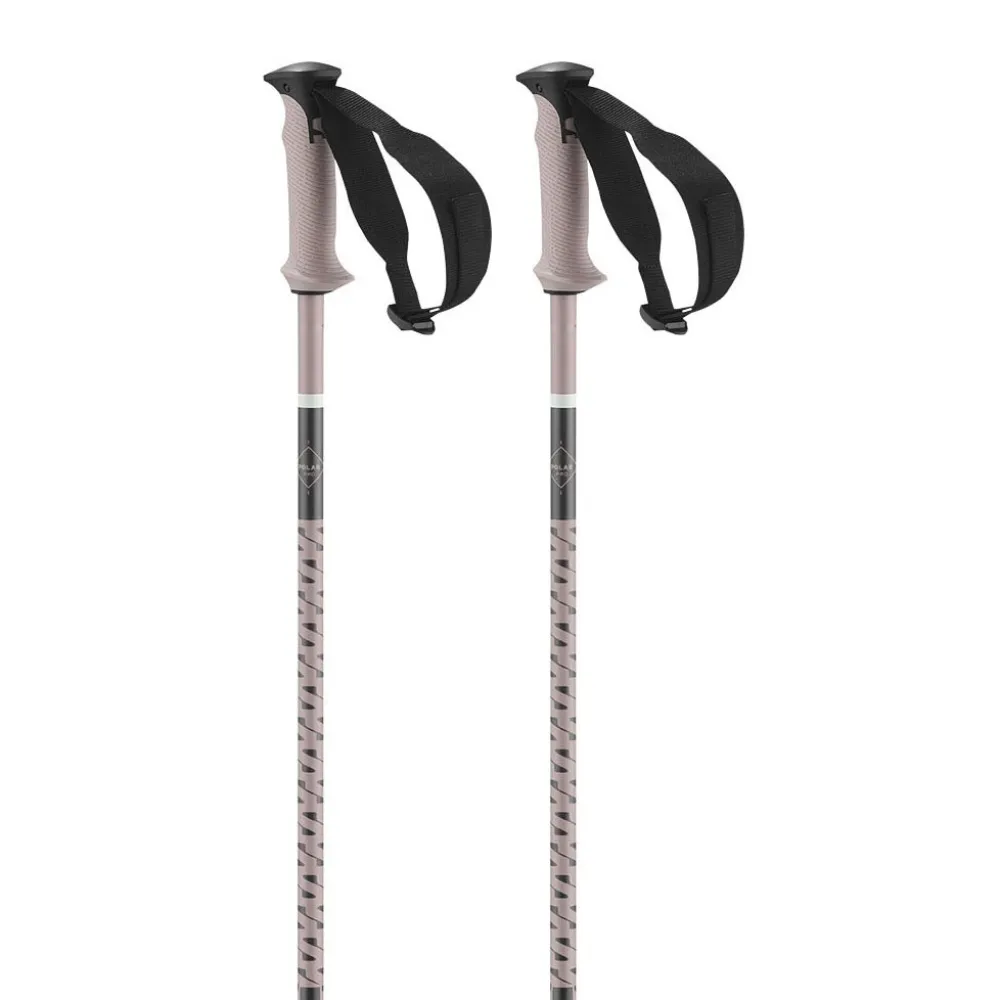 Salomon Polar Pro Stokken Goud