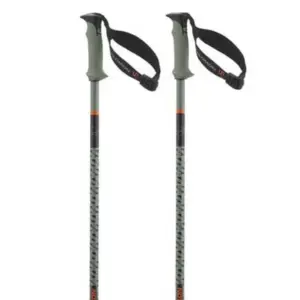 Salomon Polar Pro S3 Stokken Groen