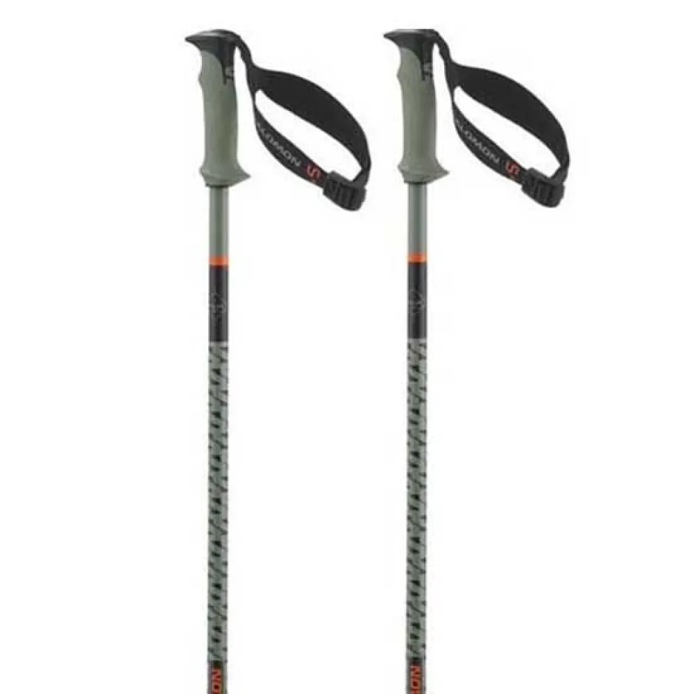 Salomon Polar Pro S3 Stokken Groen