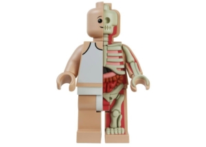 Jason Freeny Mighty Jaxx Bigger Micro Anatomic Schematic Figure