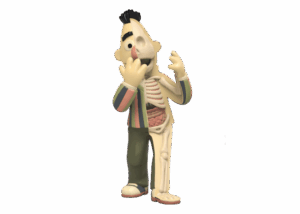 Jason Freeny XXRAY Plus Bert Retro Edition Figure