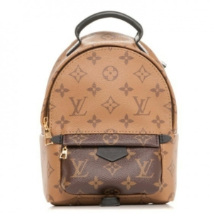 Louis Vuitton Palm Springs Reverse Monogram Mini
