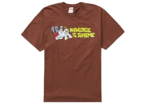 Supreme Knowledge Tee Bruin