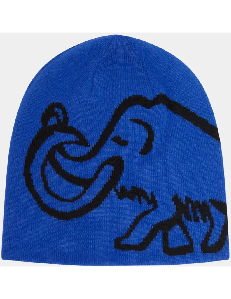 Mammut Logo Beanie Reversible Zwart